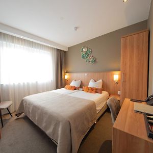 Economy Kamer met een King Size Bed